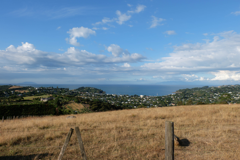 Illustration for article titled Waiheke Island